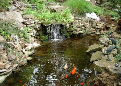 Coy Pond Crystal Cove Branson MO